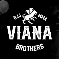 Viana Brothers Logo